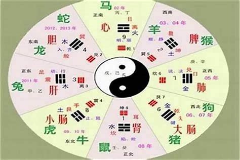 琁五行|铫字的五行属性